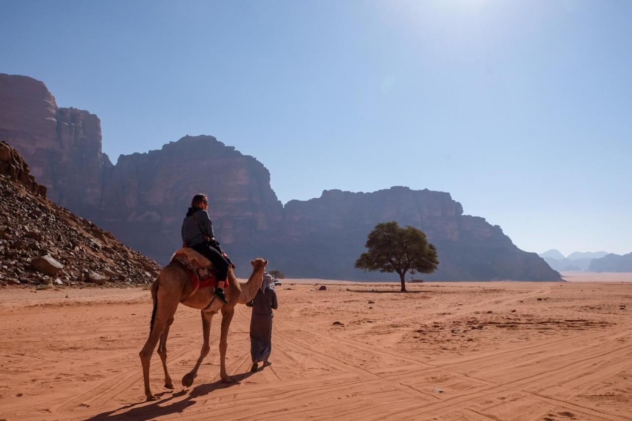 Wadi Rum Bedouin Camp And Desert Tours Eksteriør bilde