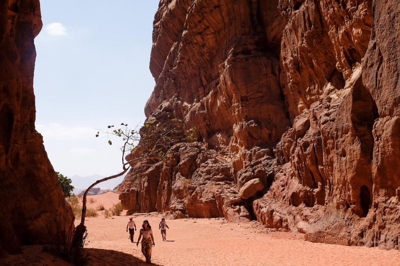 Wadi Rum Bedouin Camp And Desert Tours Eksteriør bilde