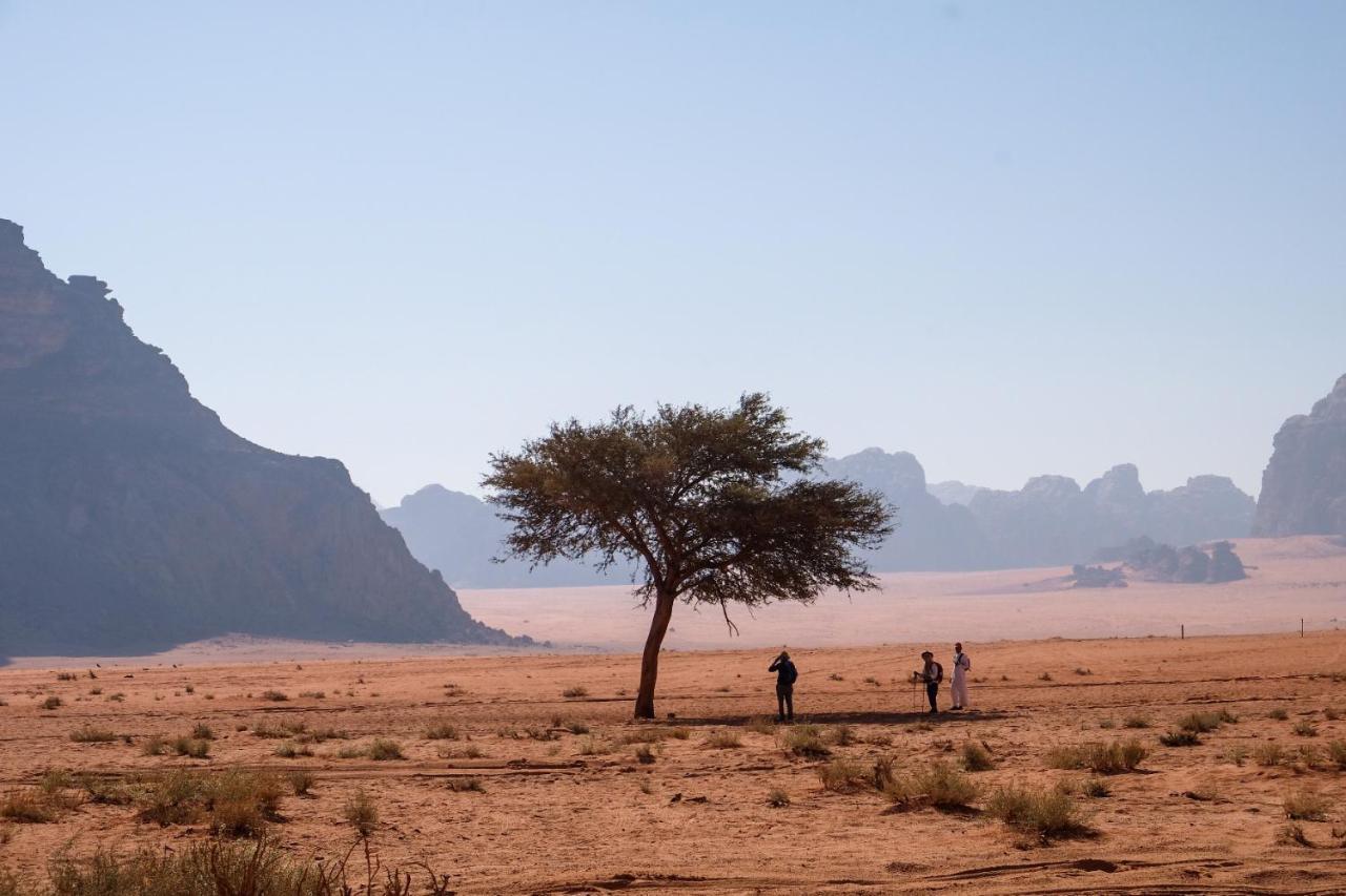 Wadi Rum Bedouin Camp And Desert Tours Eksteriør bilde